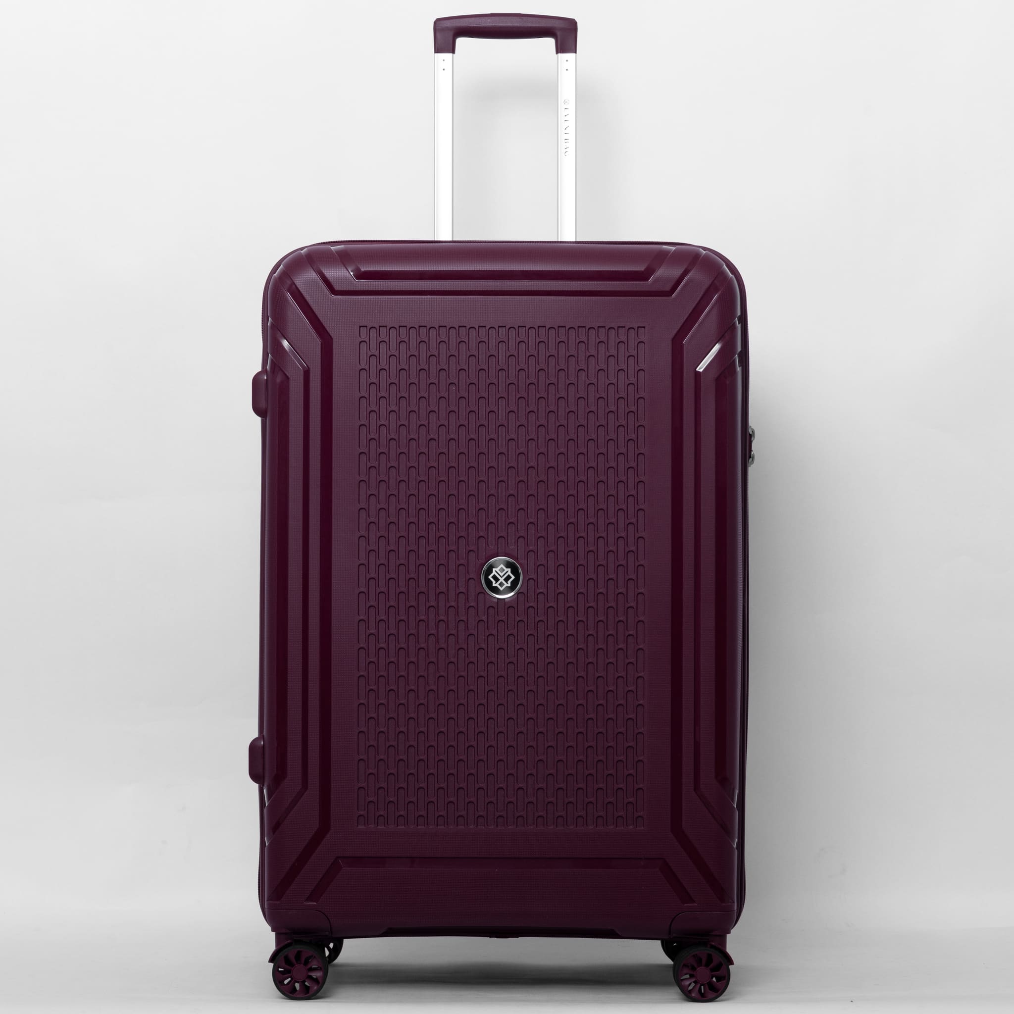 Large Luggage